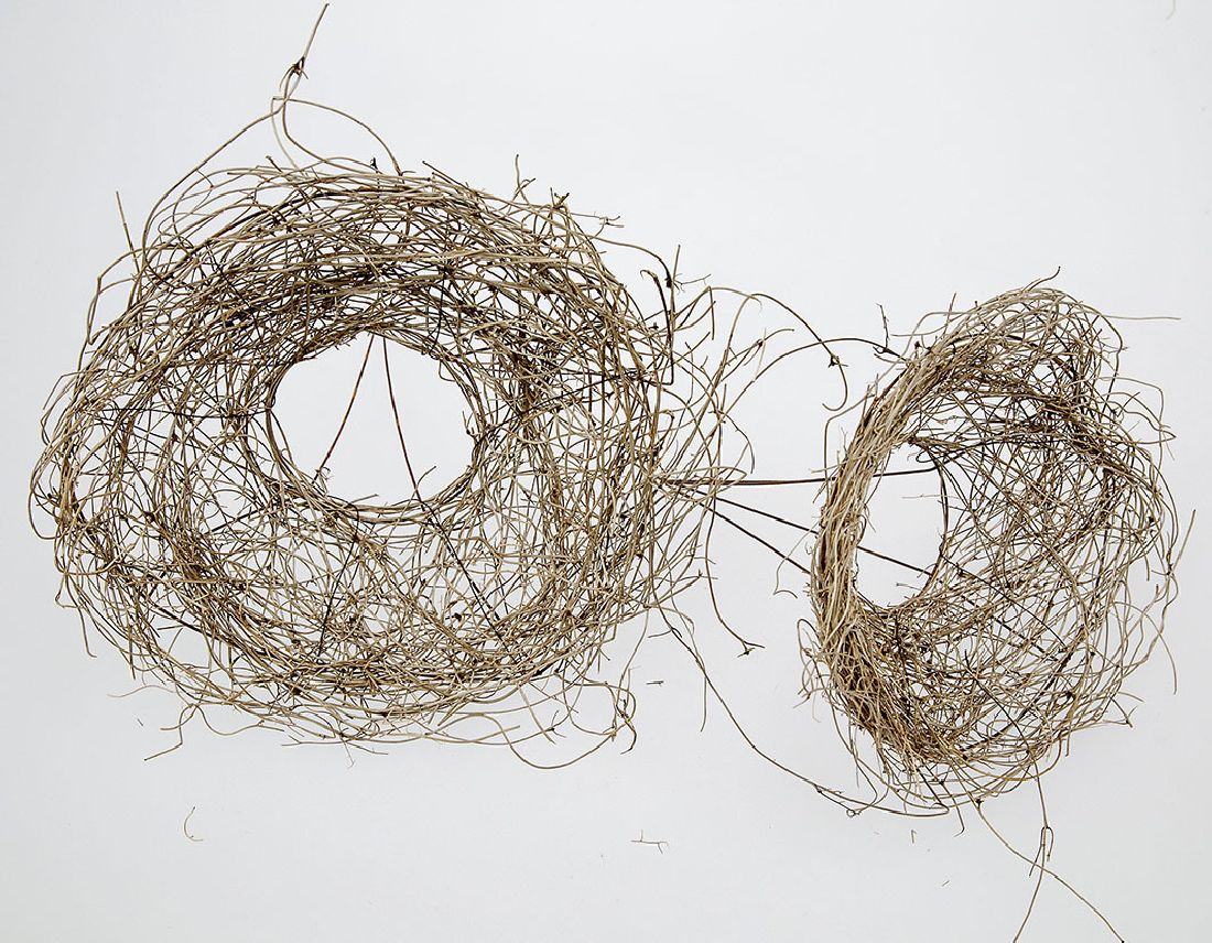 Straußhalter Rebe GEBLEICHT 20cm - Tüte